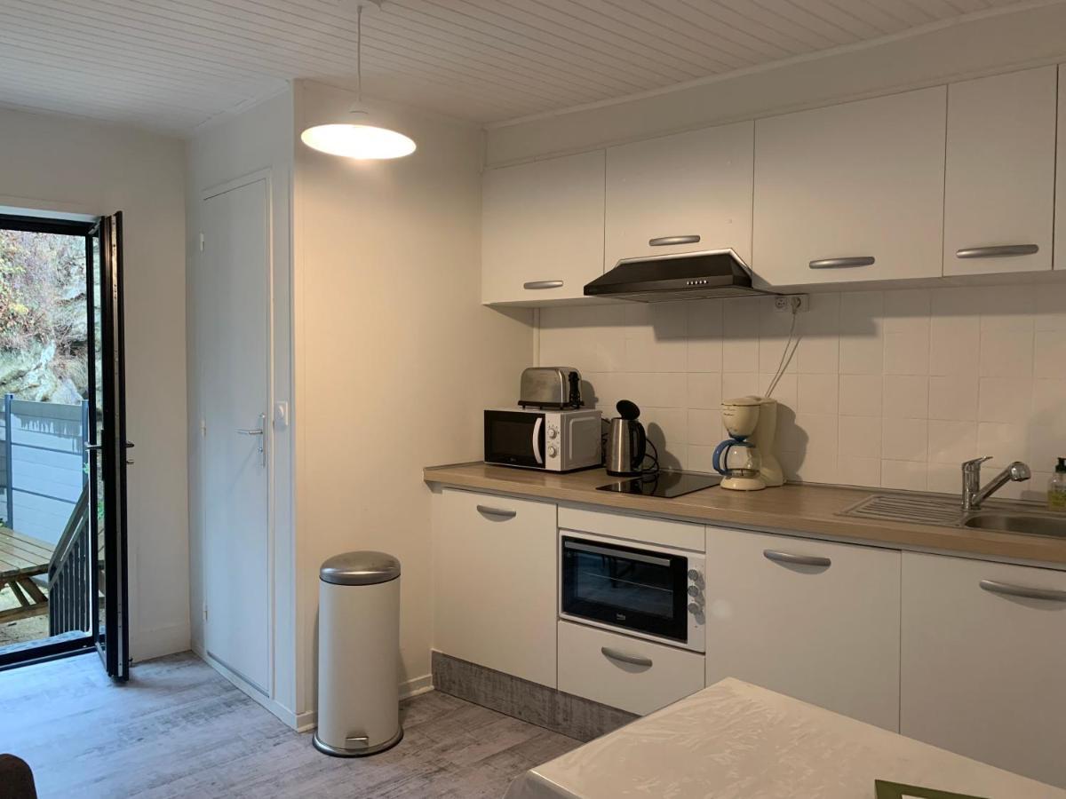 Appartement 4 Personnes, 1 Chambre, Terrasse, Wifi, Proche Du Centre La Bourboule Exterior photo